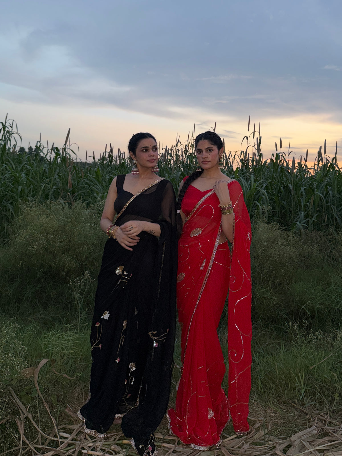 BLACK BOTANICAL — Black single diamond chiffon Handcrafted Saree