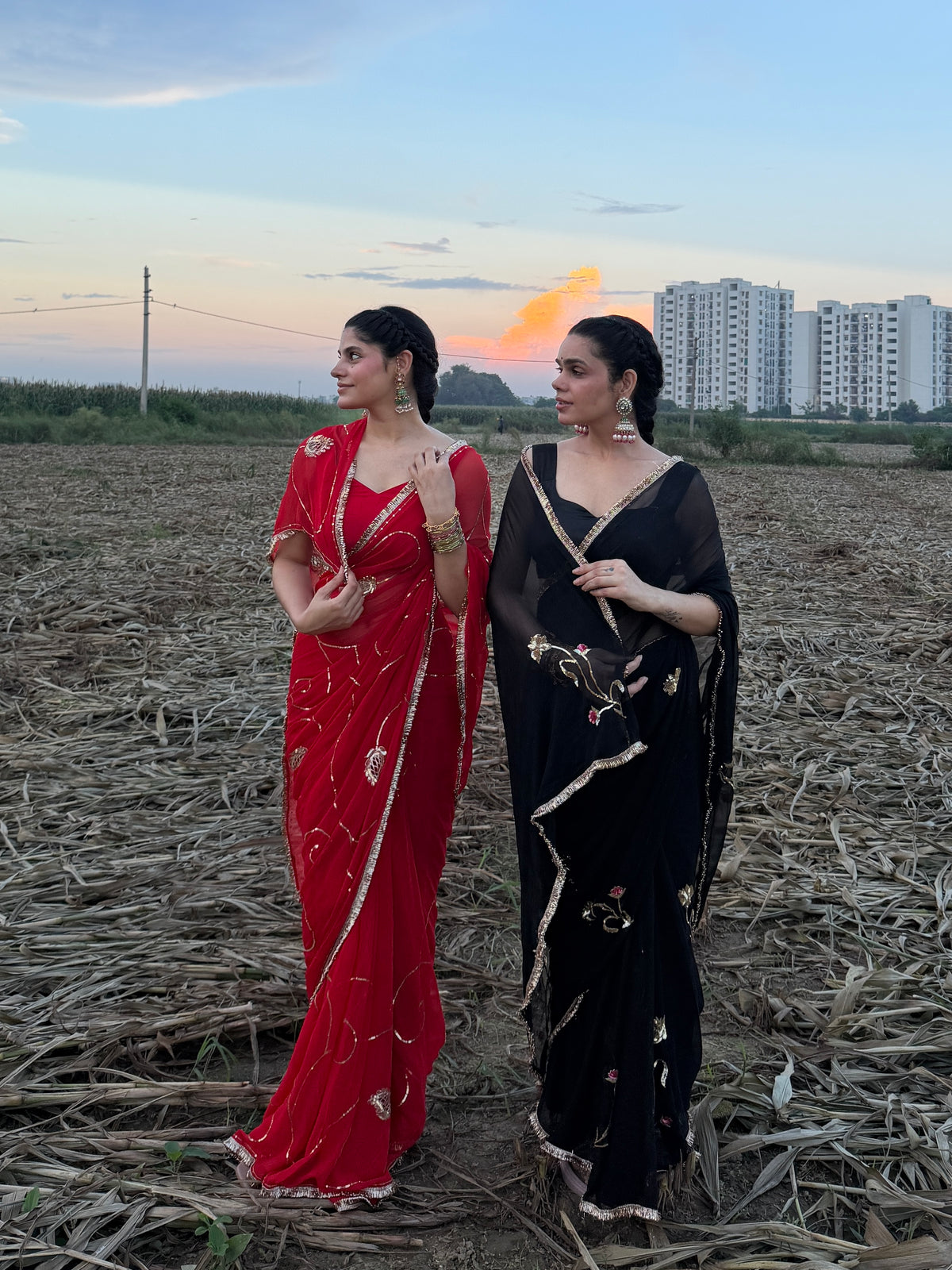 BLACK BOTANICAL — Black single diamond chiffon Handcrafted Saree