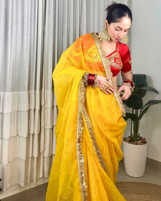 MOON AANGI — Red Handcrafted Aangi & Yellow Organza Silk Saree