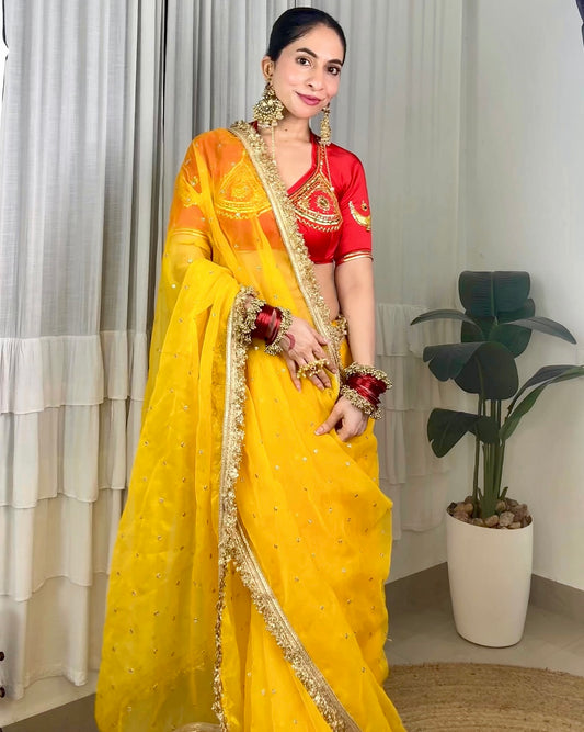 MOON AANGI — Red Handcrafted Aangi & Yellow Organza Silk Saree
